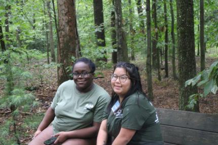 Students sitting outdoors in the woods