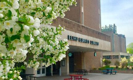 Elihu Burritt Library