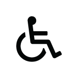 Handicap Icon